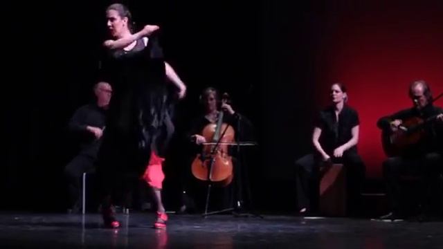 Ritmo Flamenco Toronto Production of Vida Flamenca Part 1 смотреть онлайн