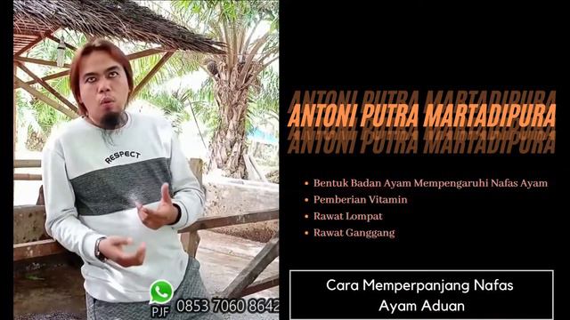 Antoni Putra Martadipura - Cara Memperpanjang Nafas Ayam смотреть онлайн