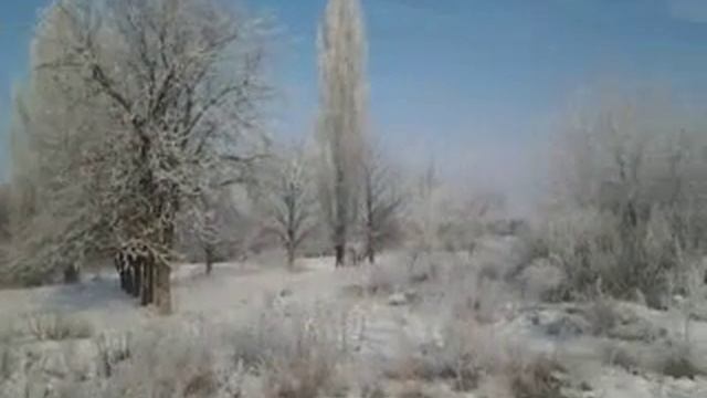 Красота деревья в инее смотреть онлайн