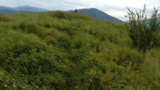 Сам себе экскурсовод." ("Саквояж"). История края, 7 серия. "Легенды о Хабусе" смотреть онлайн