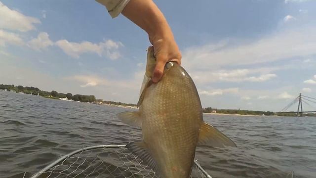 Ловля леща летом в жару. смотреть онлайн