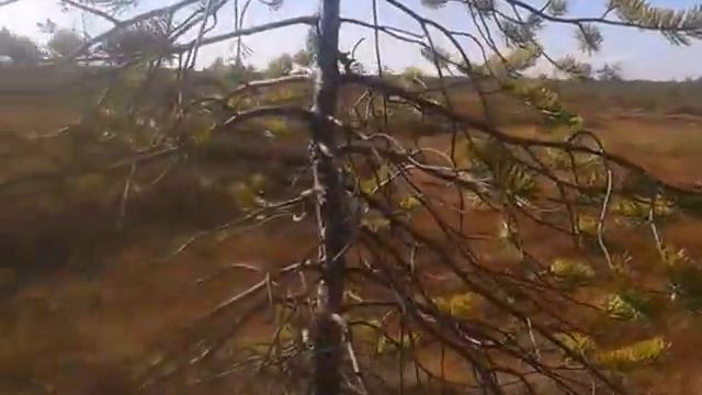 охота и рыбалка Карелия 2015 смотреть онлайн