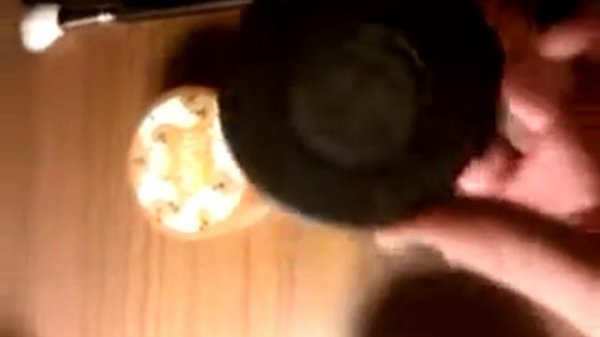 My favorite products to use for my signature Sable look.