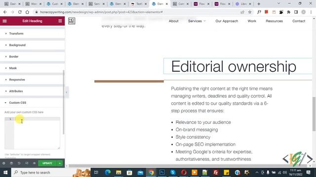 How to Add Custom CSS in Elementor Pro WordPress смотреть онлайн
