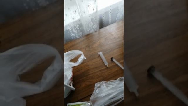 замачивания семян. смотреть онлайн