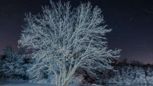 Бетельгериев Хусейн - Д1аяхa ♪