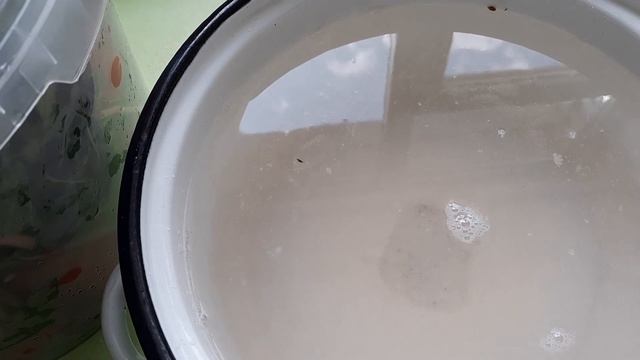 Квашеные помидоры! Заготовки на зиму.Квасим помидоры!СТИХиЯ. смотреть онлайн