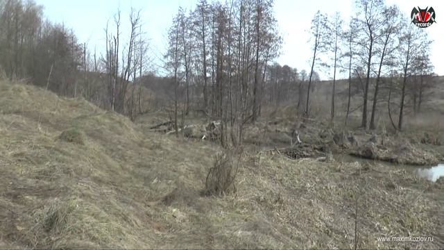 Весенняя прогулка на природе. Немного о том, где я живу смотреть онлайн