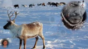 Отцвела липа белая .mp4