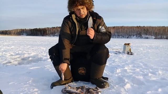 Отчет о рыбалке на озере Сунгуль Челябинской области. смотреть онлайн