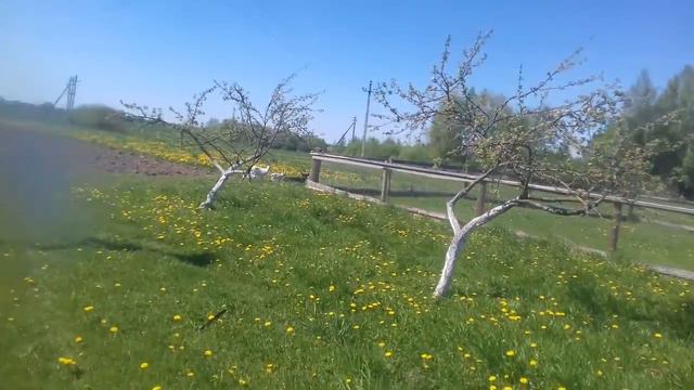 Мой родны кут, як ты мне мiлы! смотреть онлайн