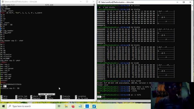 asm036-tiniest elf64 (only 112 byte) and tiny helloworld elf64 (119 byte) смотреть онлайн