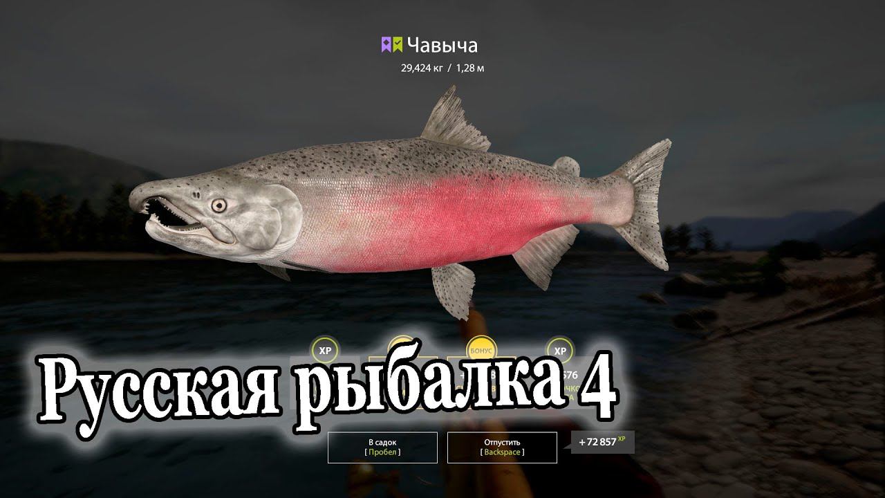 Русская рыбалка 4 р Яма Чавыча смотреть онлайн
