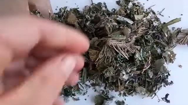 Etnomagazin.ru Обзор травяного чая "Хвойный" смотреть онлайн