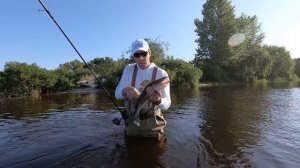 СУДАК  на ТЕЙЛ-СПІННЕР