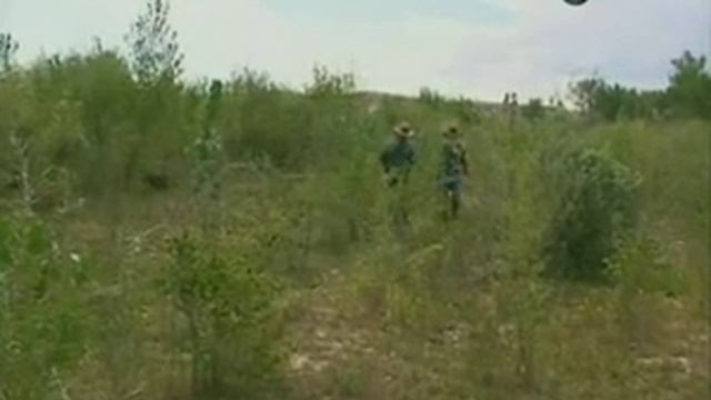 Искусство выживания -- Соединённые Штаты смотреть онлайн