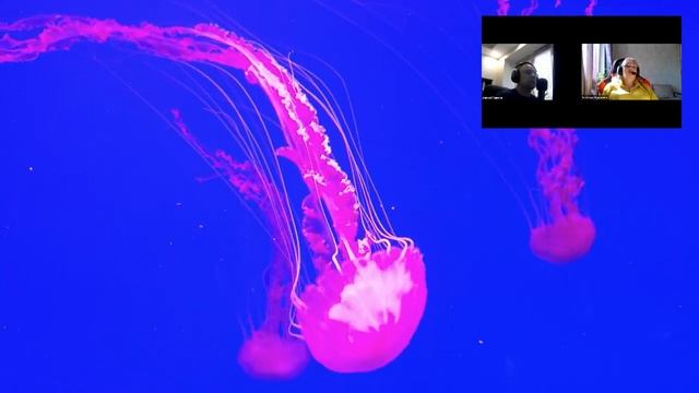 Исследование: Подводный Монстр. Контракт на вселение в человеческие тела. смотреть онлайн