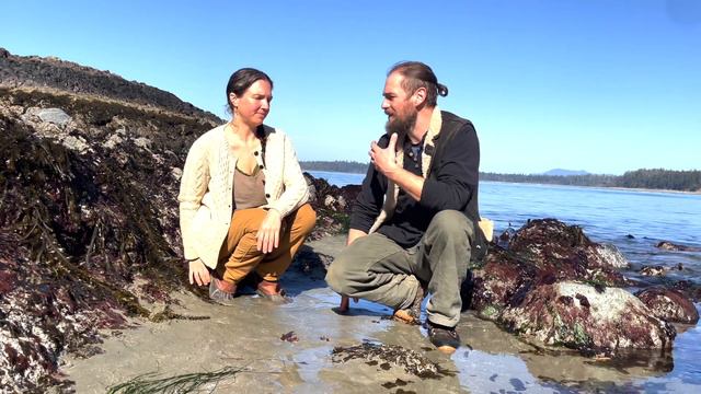 Seaweed Therapeutics - Online Course with Angela Willard Cl.H. смотреть онлайн