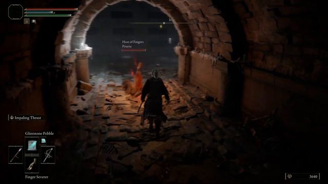Elden Ring | Lyra, Sorceress Apprentice Co-Op Clip - Stormfoot Catacombs смотреть онлайн