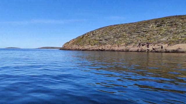 Бeлоe морe. о. Кузова. В лeсу. смотреть онлайн