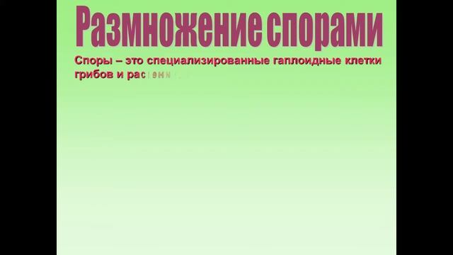 Размножение организмов смотреть онлайн