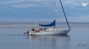 Музыка для души...  Карен Саркисян - Афродита. Karen Sargsyan - Aphrodite.