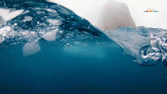 Why are massive ocean currents slowing down? смотреть онлайн