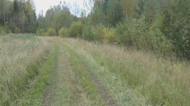Заблудился в лесу.По местам исчезнувших деревень. смотреть онлайн