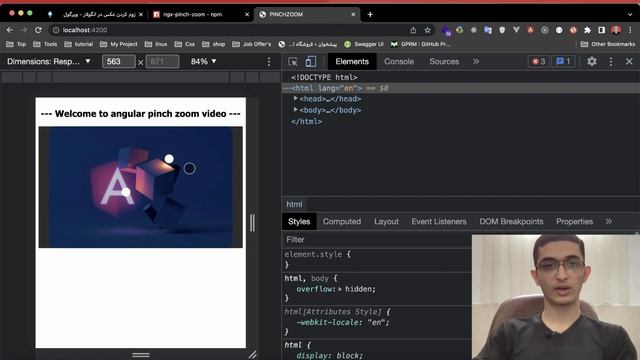 ایجاد پینچ زوم در انگولار | How To Make Pinch Zoom In Angular ? смотреть онлайн