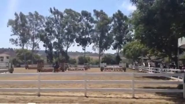 Farrah wins, ridden by Trudi Fletcher смотреть онлайн