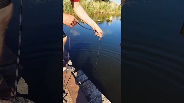 Как найти клад на реке Курлак? Видео отзыв. Находки на поисковый магнит F200х2 Калуга смотреть онлайн