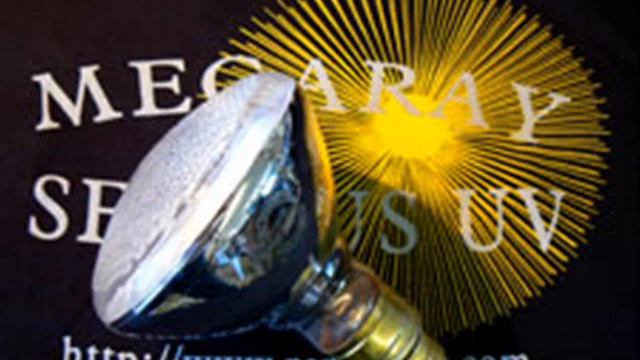 My Iguana Lights That May Help You смотреть онлайн