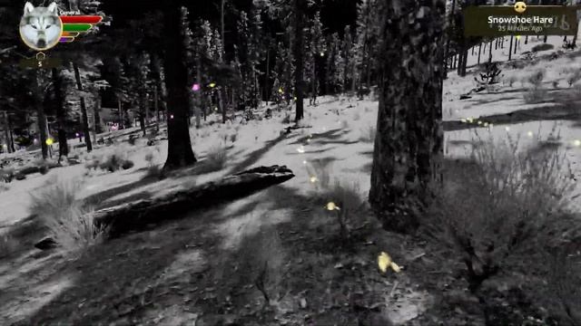 Я Страшный Серый Волк! WolfQuest: Anniversary Edition #1 смотреть онлайн