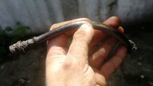 Рукожоп ТВ. Замена передних тормозных шлангов Mitsubishi Pajero 3/4