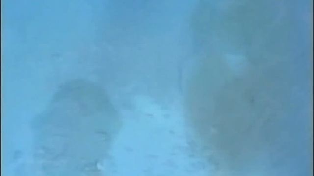 PM Dawn - Set A Drift On Memory Bliss 1991 смотреть онлайн