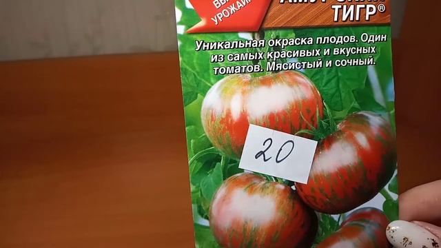 Обзор томатов. Царь трюфель. смотреть онлайн