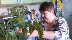 Как замедлить рост рассады