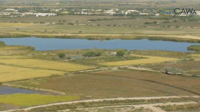 WUEMoCA Introduction | Russian Version смотреть онлайн