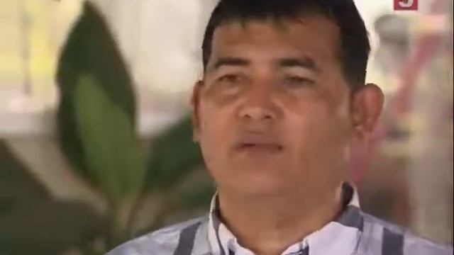 В Таиланде дом охраняют два крокодила смотреть онлайн