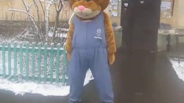 Танцующий хомяк на улице в Дзержинске смотреть онлайн