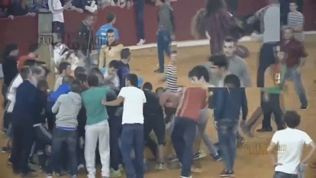 Бой быка и человека смотреть онлайн