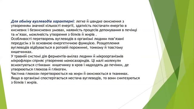 практична робота 1 Складання схем обміну вуглеводів, ліпідів та білків в організмі людини смотреть онлайн