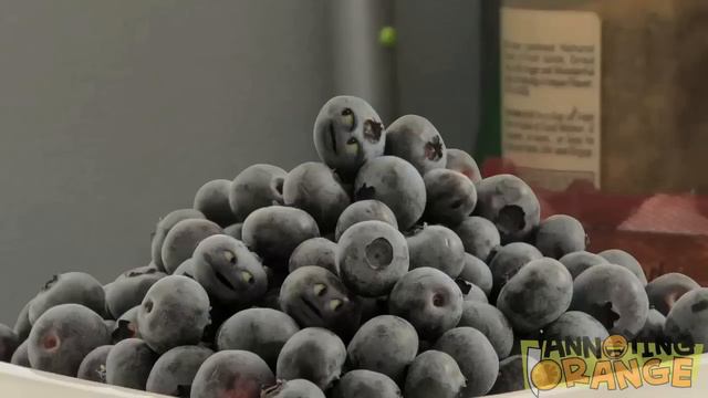 Annoying Orange - Out Of The Blue