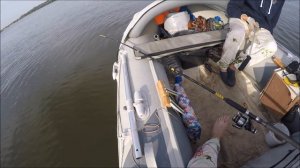 Ловля Сома на Нижней Волге, Квок!