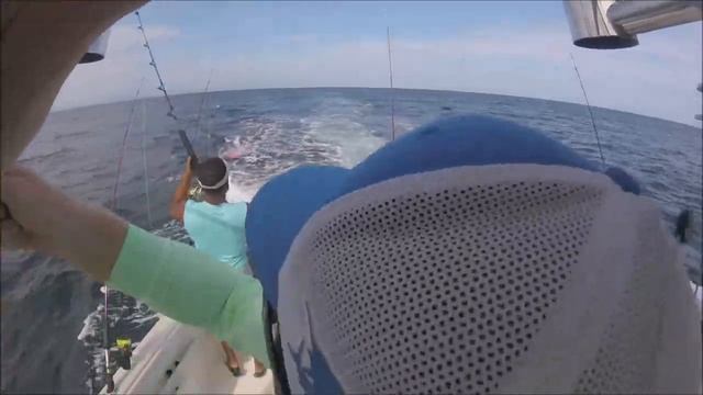 How to Bait and Switch a Blue Marlin смотреть онлайн