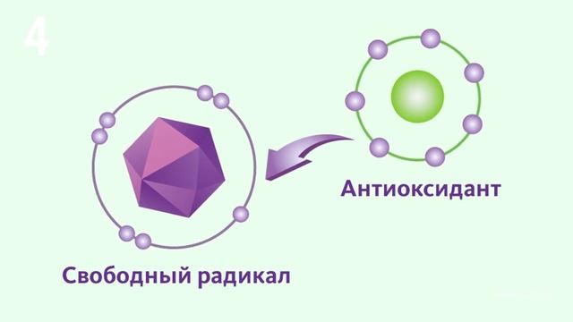 Почему люди пьют чай? смотреть онлайн