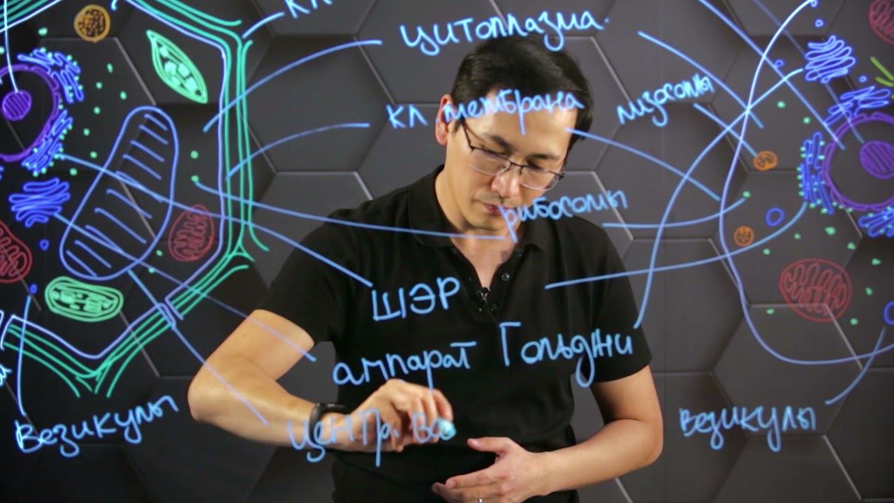 Особенности строения и функций клеток растений и животных. 10 класс. смотреть онлайн