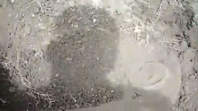 Испытываю металлоискатель в деле смотреть онлайн