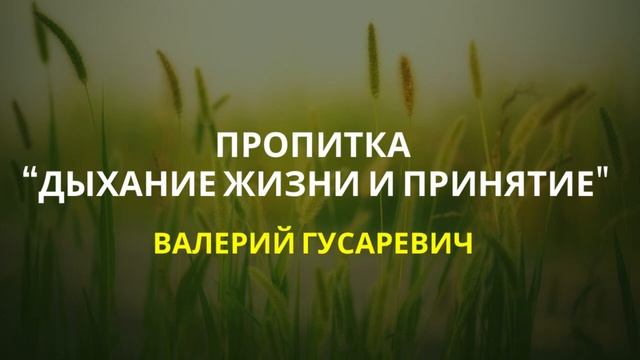 Пропитка «Дыхание жизни и принятие». Валерий Гусаревич смотреть онлайн