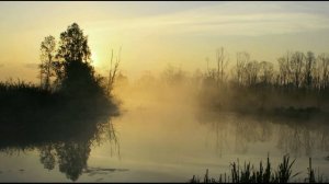 Ночь в июне только 6 часов... Пою Колыбельную.